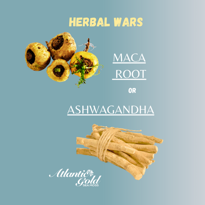 Maca Root vs. Ashwagandha: Which One Pairs Better With Sea Moss?