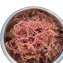 Load image into Gallery viewer, Wholesale Purple Sea Moss Stems, 5 lbs