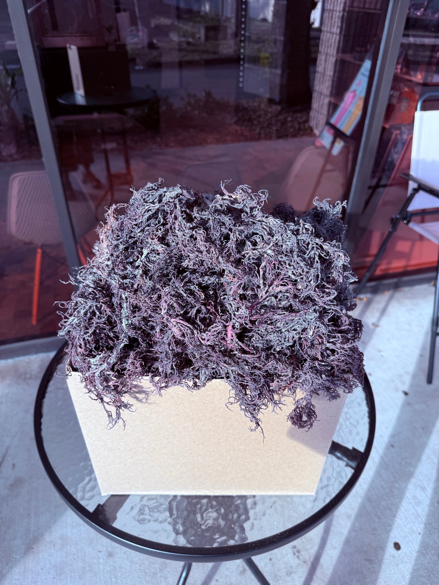 Gold Sea Moss - 2 oz - 5 lbs