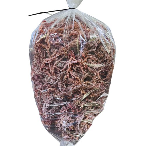 Wholesale Purple Sea Moss Stems, 5 lbs