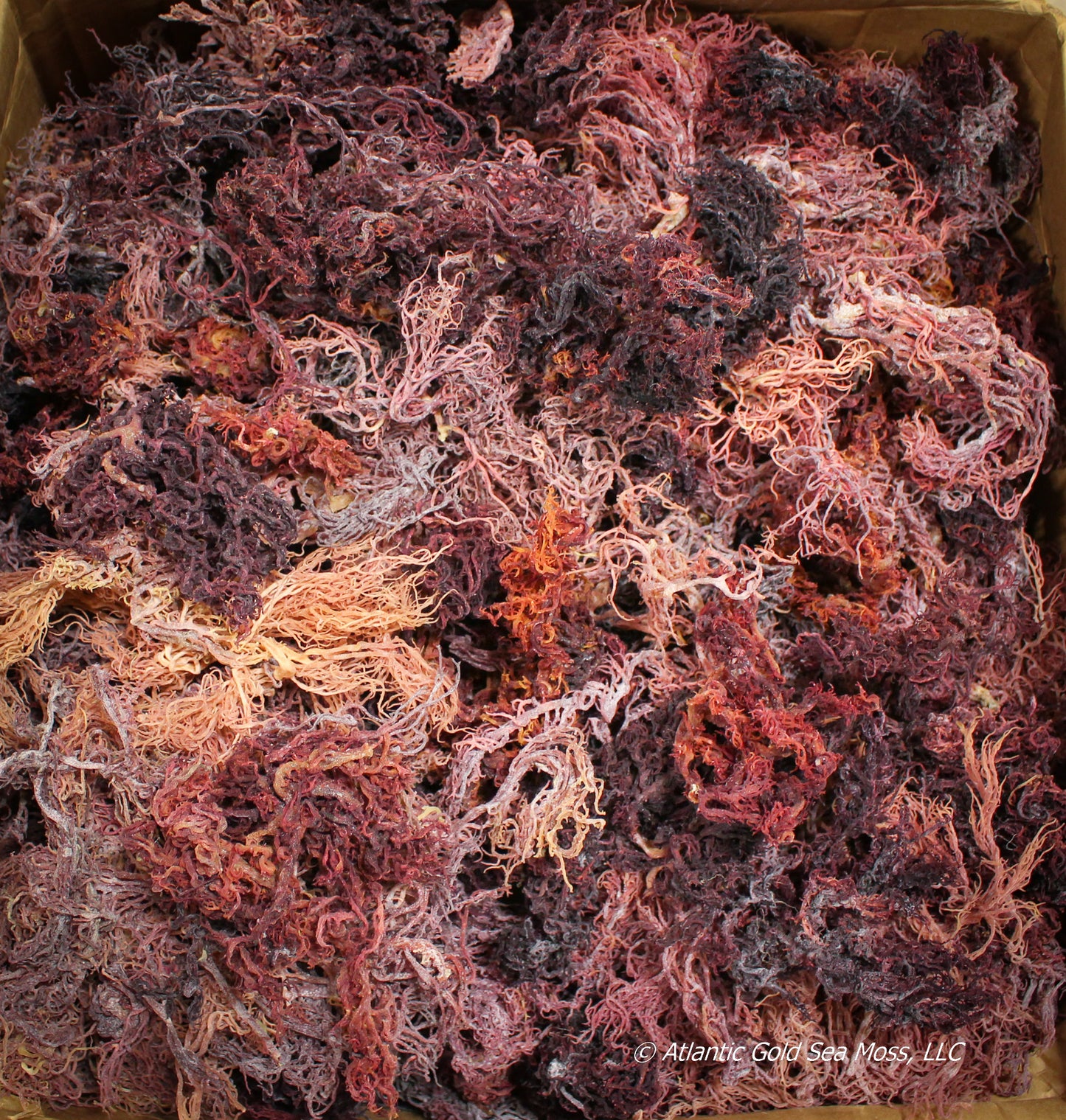 Purple Sea Moss - 2 oz - 5 lbs