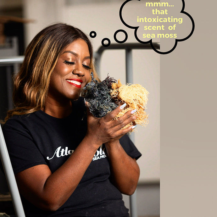 “Beyond the Bedroom: Sea Moss Secrets No One Told Me