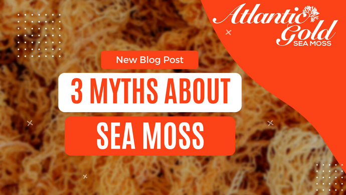 3 Myths About Sea Moss