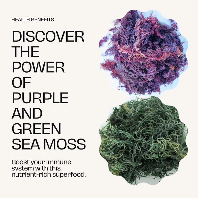Purple or Green Sea Moss - What's the Big Deal?
