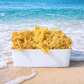 Wholesale Wildcrafted Gold Sea Moss – Dried Raw Bulk 1LB to 50LB  – St Lucia