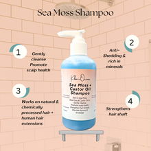 Load image into Gallery viewer, Sea Moss + Castor Oil Shampoo