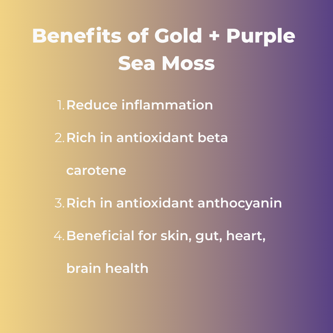 Gold 'n Purple Bundle