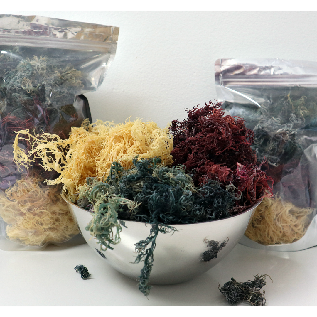 Trifecta Sea Moss - Gold, Purple, Green