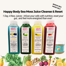 Load image into Gallery viewer, Sea Moss Juice Cleanse / Gut Reset - 1, 3 or 5 Days w/ Bonus Gel