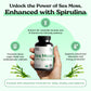 Sea Moss Capsules 1000mg (2-Month Supply) | Sea Moss Only, Spirulina, Beet Root & Shilajit