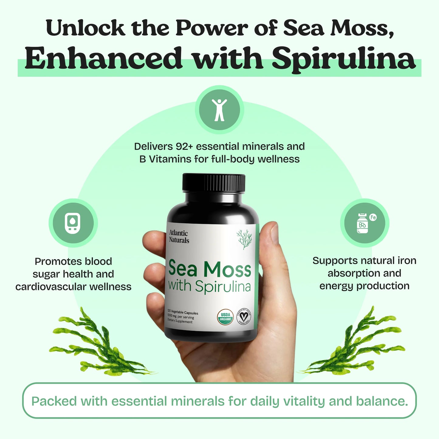 Sea Moss Capsules 1000mg (2-Month Supply) | Sea Moss Only, Spirulina, Beet Root & Shilajit