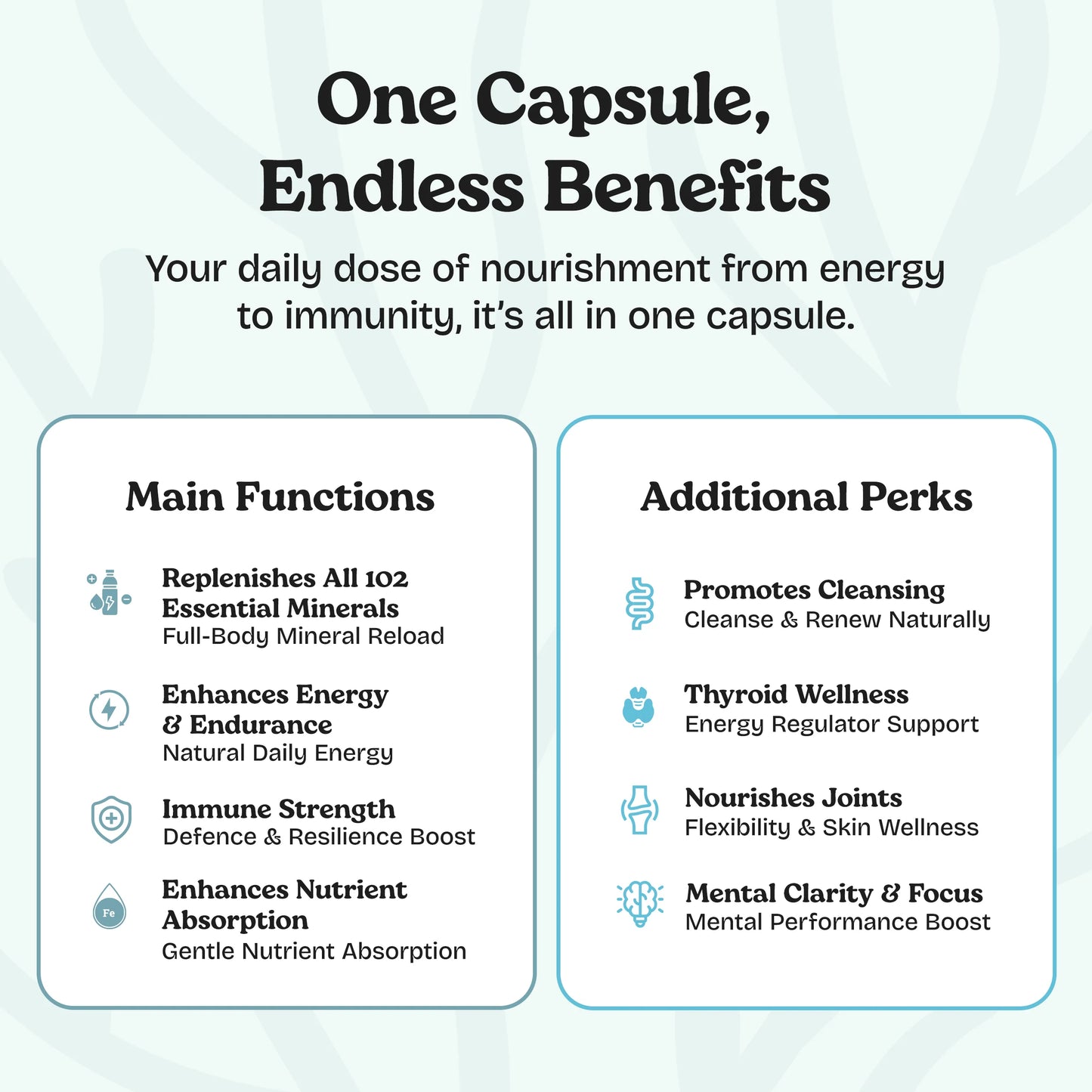 Sea Moss with Shilajit Capsules -5 In 1