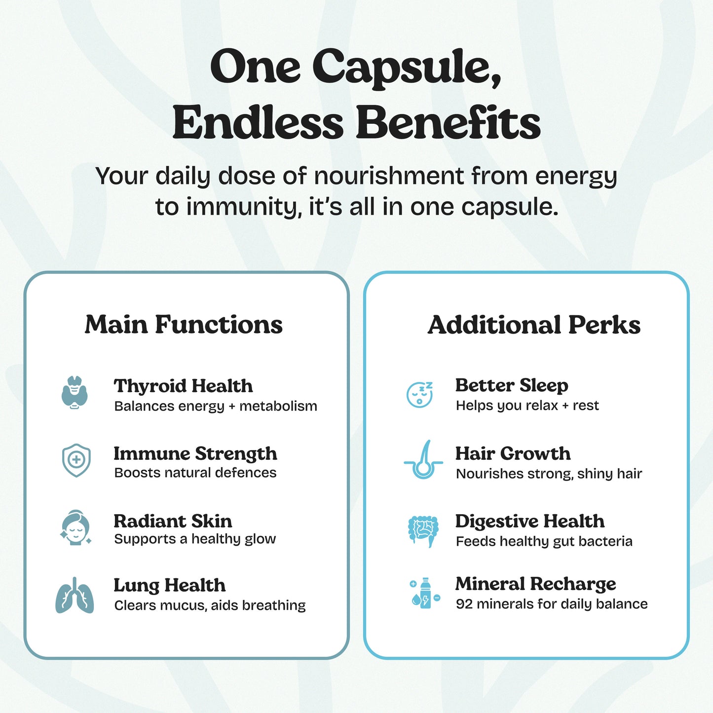 Sea Moss Capsules - Organic, 2 Month Supply
