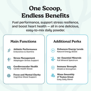 Sea Moss Superfood Powder with Ashwagandha, Beet Root & Maca Root