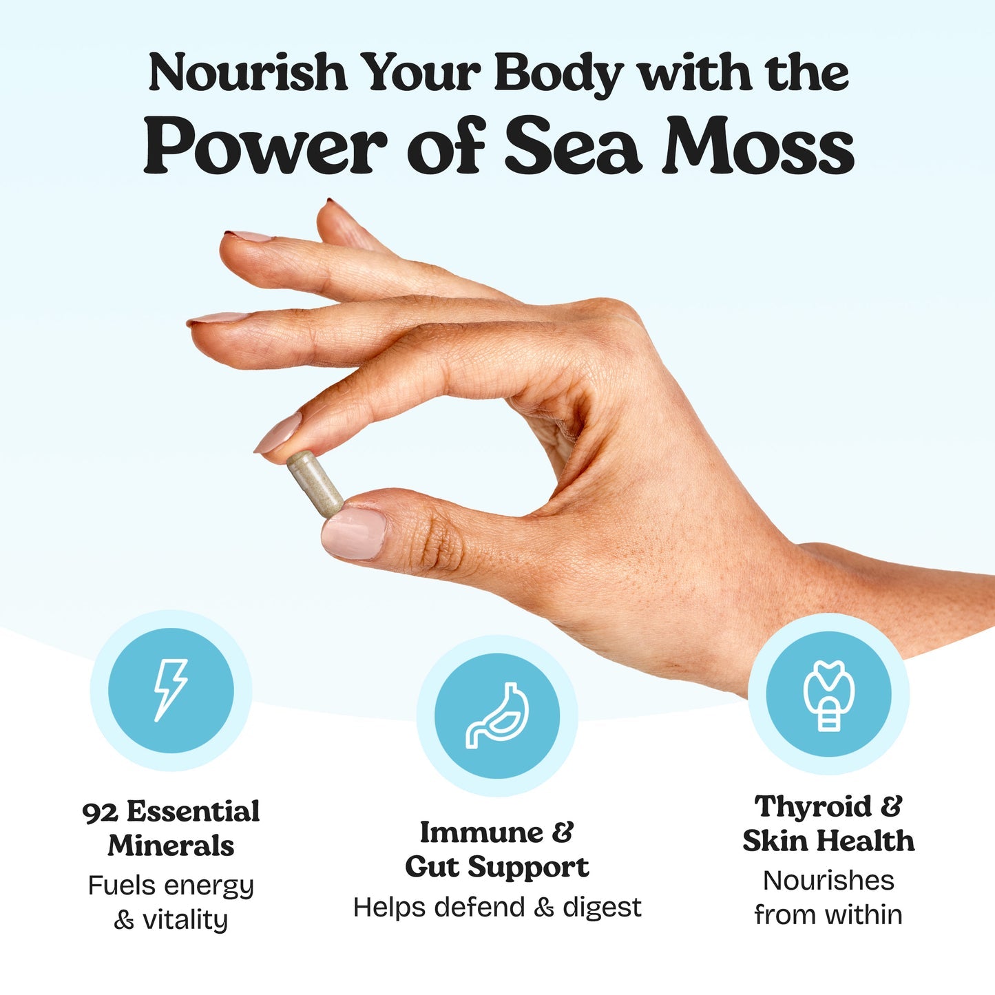 Sea Moss Capsules - Organic, 2 Month Supply