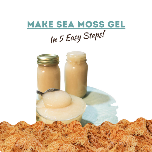 Make Sea Moss Gel In 5 Easy Steps