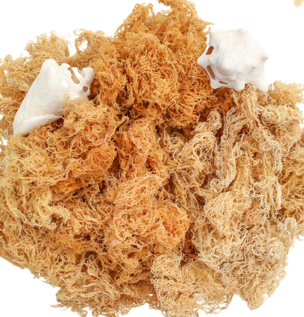 Wholesale Bulk Sea Moss