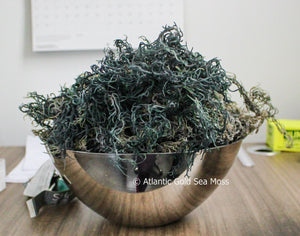 Wholesale Bulk Sea Moss