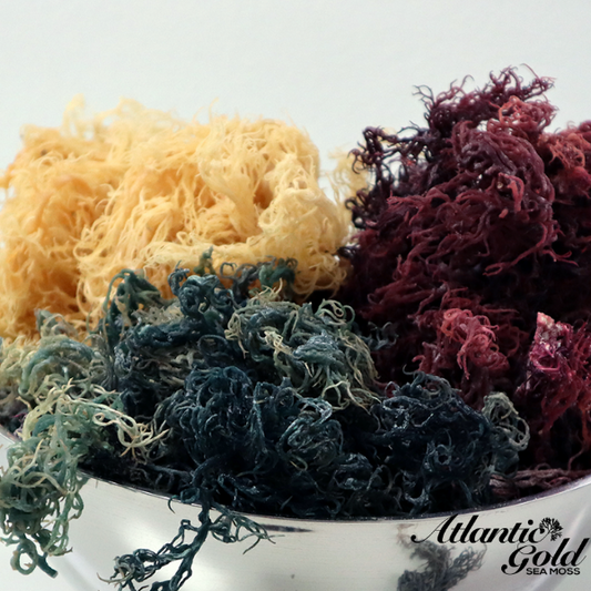 Trifecta Sea Moss - Gold, Purple & Green.