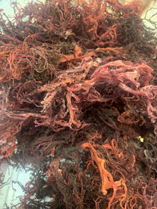Wholesale Packaged Sea Moss
