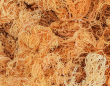 Load image into Gallery viewer, Gold Sea Moss.